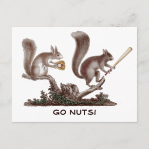 Gå Nöt Rally Squirrel Hälsning från St. Louis! Vykort
