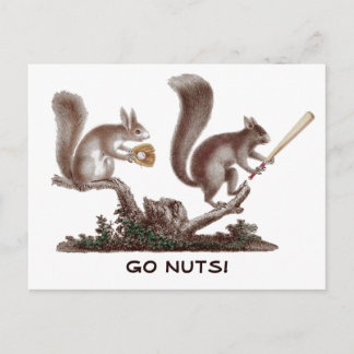 Gå Nöt Rally Squirrel Hälsning från St. Louis! Vykort