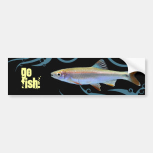 Gå och fiska! Shiner Minnow Bildekal
