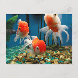 Gå och fiska vykort