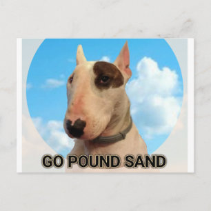 Gå och posta sandskort vykort