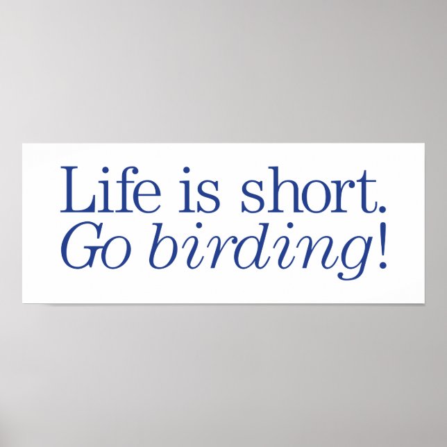 Gå på Birding! Poster (Framsidan)