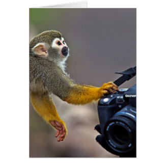 Gå på! låt mig ta skjuten hälsningskort