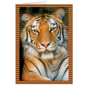 Gå på Vilden - Tiger Hälsningskort
