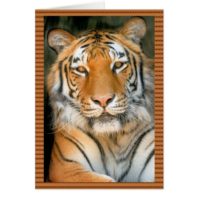 Gå på Vilden - Tiger Hälsningskort (Framsidan)