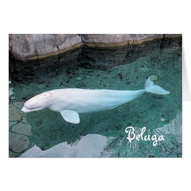 Gå på vildsidan hälsningskort (Framsidan Horizontal)