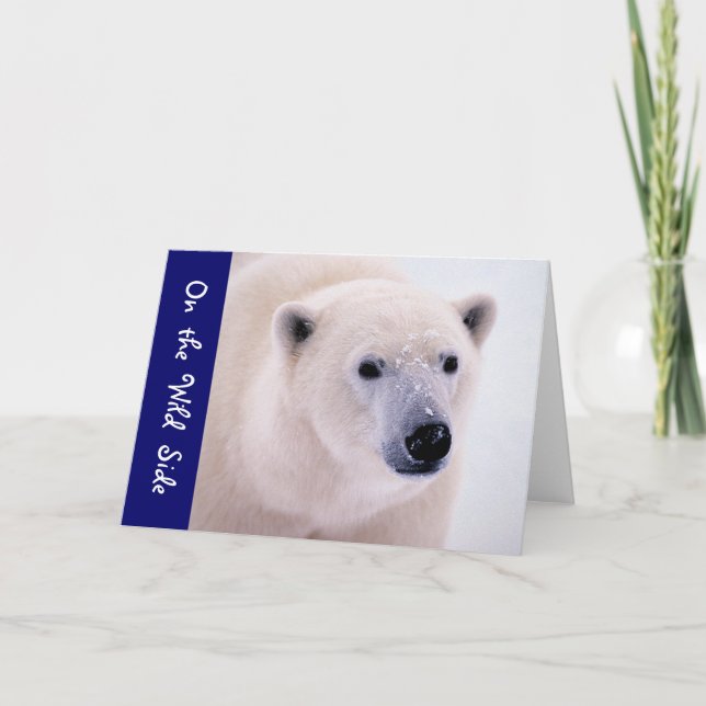 Gå på vildsidan - polar björn kort (Framsida)