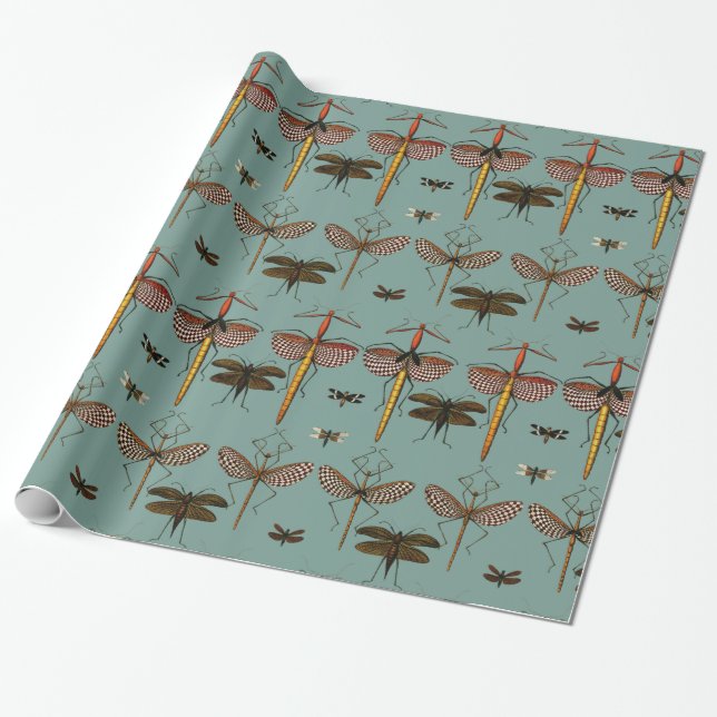 Gå pinnar, Katydids och sländor Presentpapper (Utrullad)