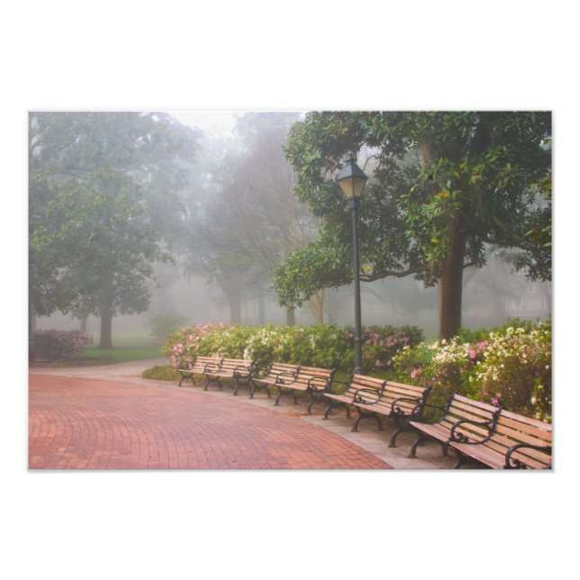 GA Savannah, Azaleas längs tegelsidepromenad och Fototryck (Framsidan)