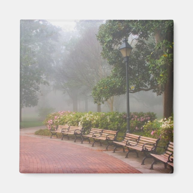 GA Savannah, Azaleas längs tegelsidepromenad och Magnet (Framsidan)