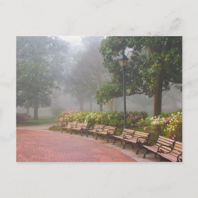 GA Savannah, Azaleas längs tegelsidepromenad och Vykort (Framsida)