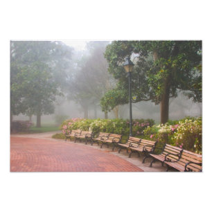 GA Savannah, Azaleas längs tegelsidewalden och Fototryck