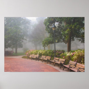 GA Savannah, Azaleas längs tegelsidewalden och Poster