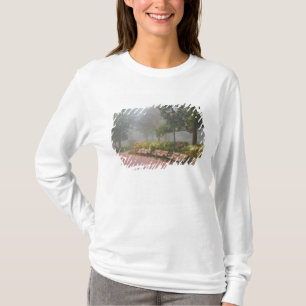GA Savannah, Azaleor längs tegelgång och T Shirt