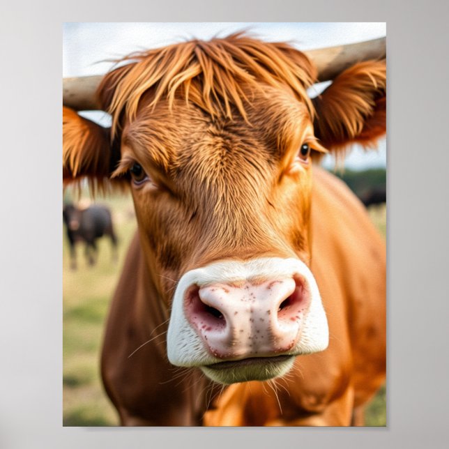 Gå till boskapskägget poster (Framsidan)