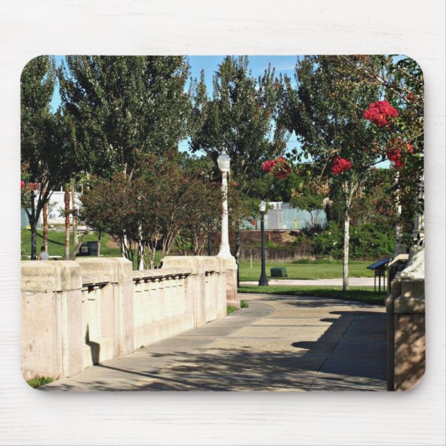 Gå till bro runt Sjö Spegel Musmatta (Framsidan)