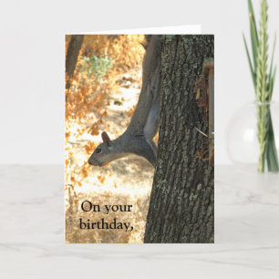 Gå till Crazy Lnyj Squirrel-födelsedagskort Kort