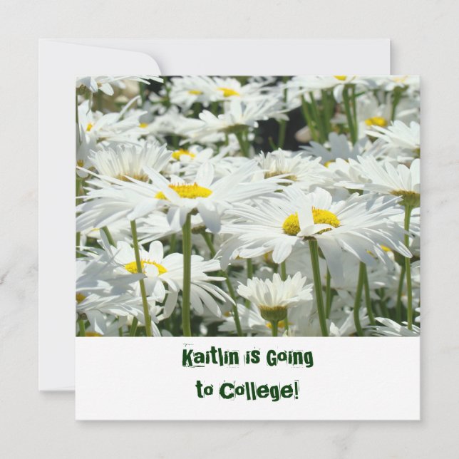 Gå till Daisyn Inbjudningar till kollegiet av Farw (Framsida)