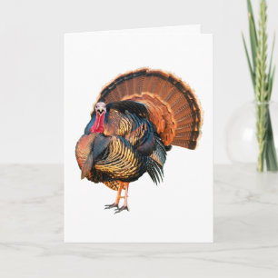 Gå till Saker själv Helgkort