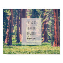 Gå till Skogen | POSTER