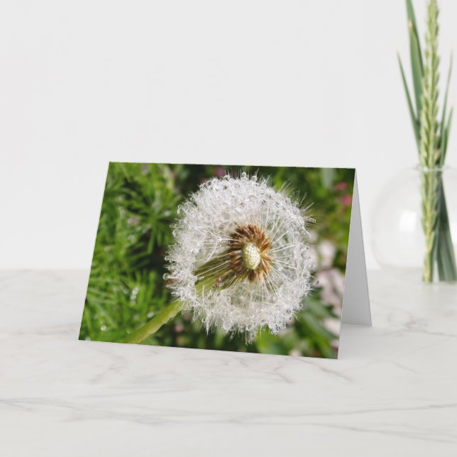 Gå till utsäde kort (Framsida)