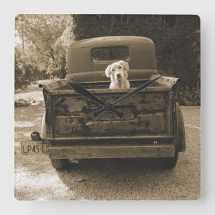 Gå ut ur skugga - fotografi av Hund Fyrkantig Klocka