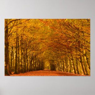 Gå vägen till och med skogen i höst poster
