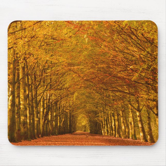 Gå vägen till och med skogen i höstmousepad musmatta (Framsidan)
