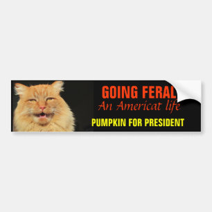 Gå vilt - ett Americat liv 2020 Bildekal