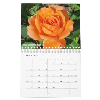 Gabby the Gardener 2021 Calendar Kalender
