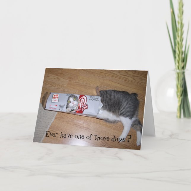 Gabe på lek - anpassade kort (Framsida)