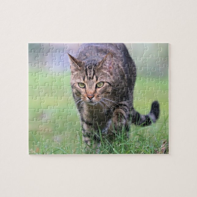 Gabe Pussel (Horisontell)