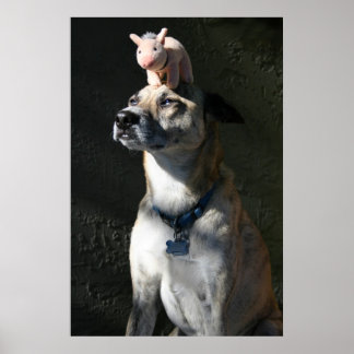 Gabriel beställde bacon till frukost poster