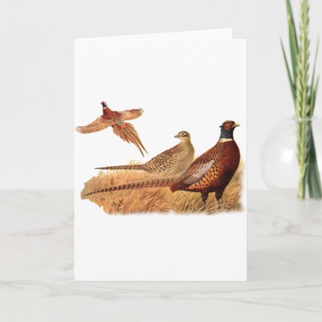 Gäcka Pheasantfågeljakt Kort (Framsida)