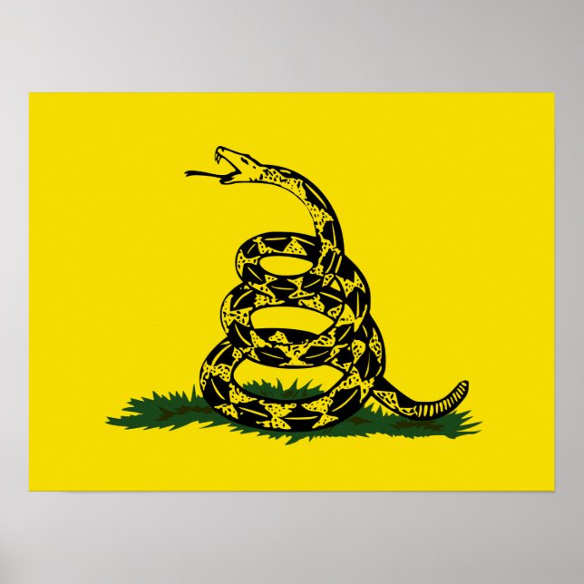 Gadsden flagga variant poster (Framsidan)