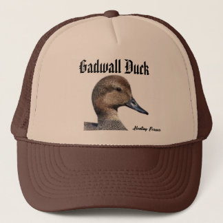 Gadwall Anka hat Keps