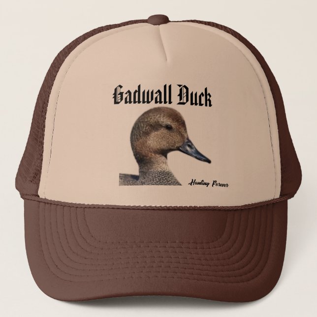 Gadwall Anka hat Keps (Framsida)