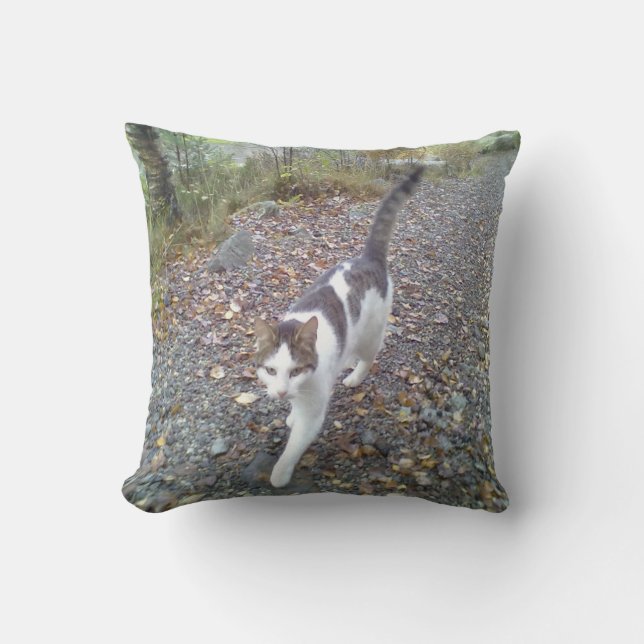 Gående katt kudde (Framsida)