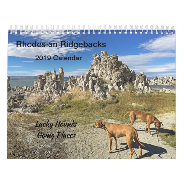Gående ställen för Rhodesian Ridgeback kalender (Omslag)