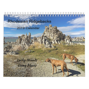 Gående ställen för Rhodesian Ridgeback kalender