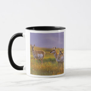 Gaffelantilop i Montana Mugg