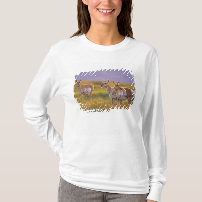Gaffelantilop i Montana Tee (Framsida)