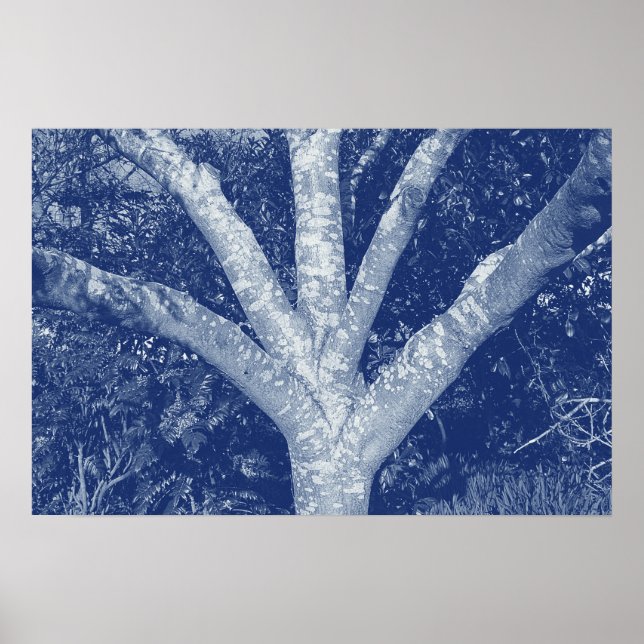 Gaffelgrenar - Cyanotypieffekt Poster (Framsidan)