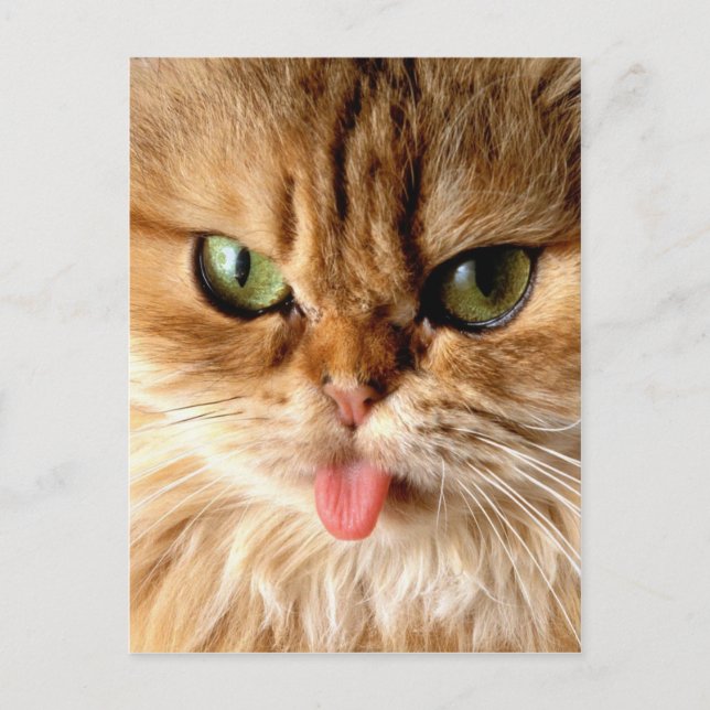 Gaga mig med en sked vykort (Framsida)