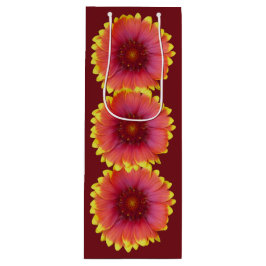 Gaillardia 1