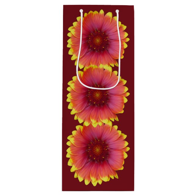 Gaillardia 1 (Framsidan)