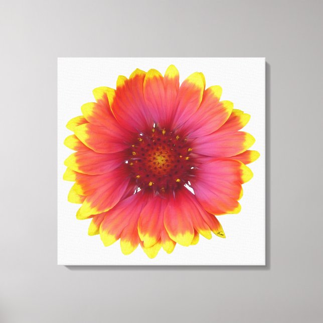 Gaillardia 1 canvastryck (Framsida)