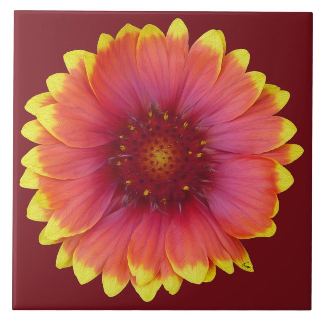Gaillardia 1 kakelplatta (Framsidan)