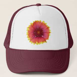 Gaillardia 1 keps