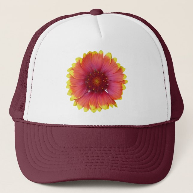 Gaillardia 1 keps (Framsida)